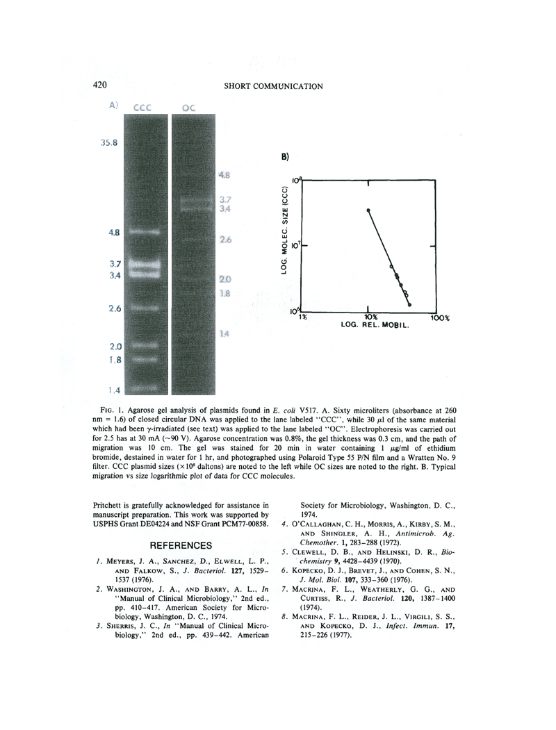 Plasmid 1(3)420